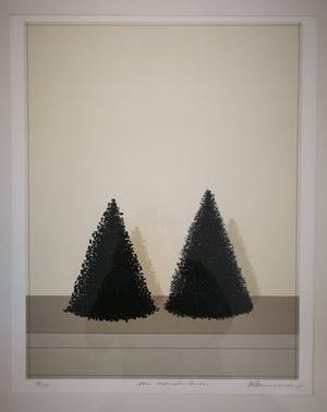 Jeroen Henneman - Een mensenleven. kopen? Bied vanaf 95!