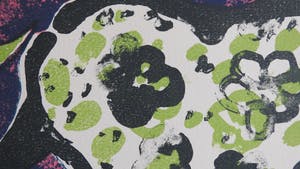 Ton van Kesteren - William and Mary zoeken een woning kopen? Bied vanaf 39!