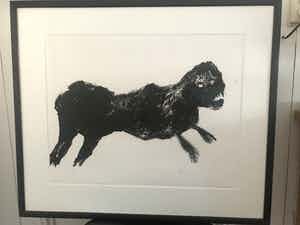 Armando - Das Tier verkocht voor € 125!