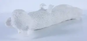 Kathja Smits - Porselein, Ratje kopen? Bied vanaf 100!