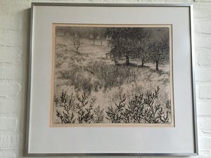 Paulien Wittenrood - Sneeuw kopen? Bied vanaf 10!