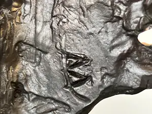 Bernadette Leijdekkers - Nieuwe visie kopen? Bied vanaf 99!