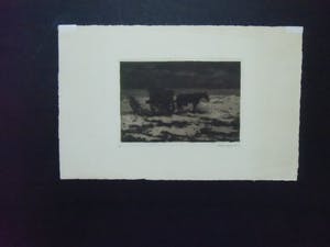 Frederika Broeksmit - SCHELPENVISSER kopen? Bied vanaf 30!