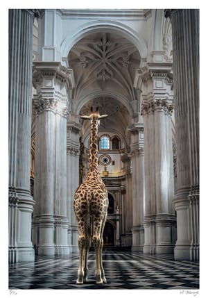 Mr. Strange - Les hautes voûtes kopen? Bied vanaf 50!