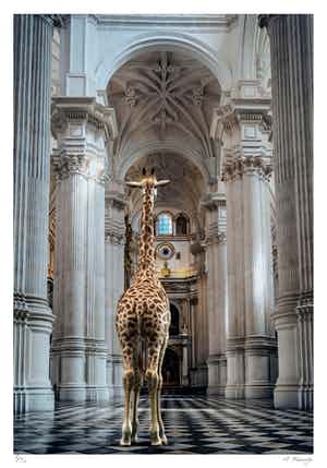 Mr. Strange - Les hautes voûtes verkocht voor € 50!