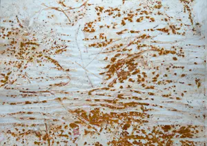 Theo Niermeijer - Zonder titel kopen? Bied vanaf 50!