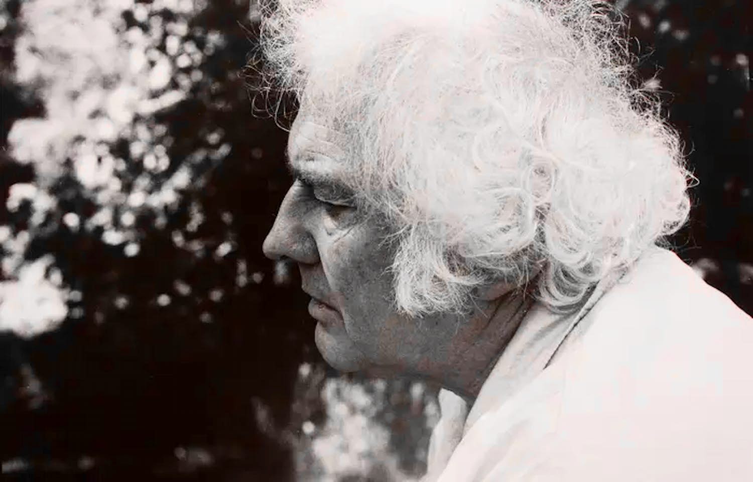 Steye Raviez - Foto: Jan Wolkers kopen? Bied vanaf 25!