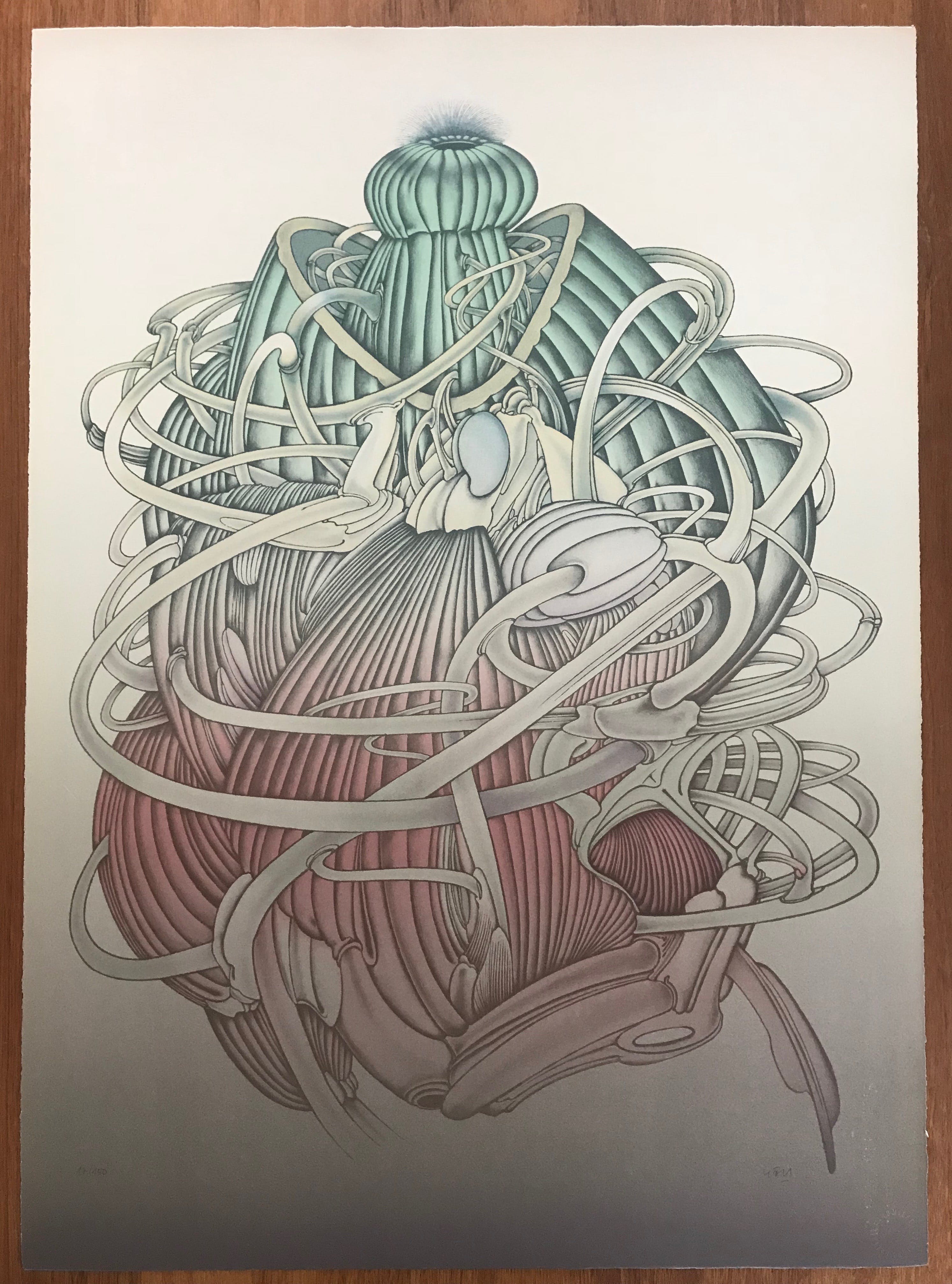Alain Le Foll - Lithografie - 'Le Meduse' - 17/150 - Gesigneerd kopen? Bied vanaf 1!