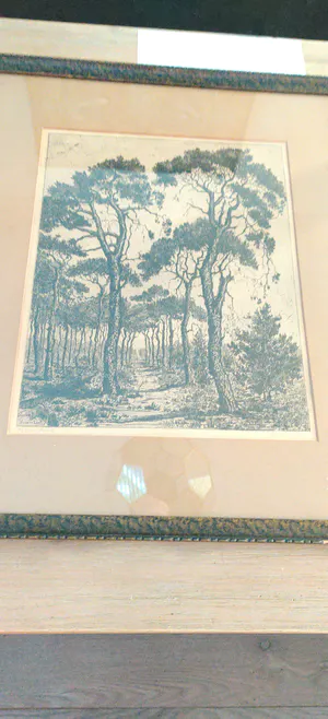 Suze de Lint - Eigendruk ets kopen? Bied vanaf 29!