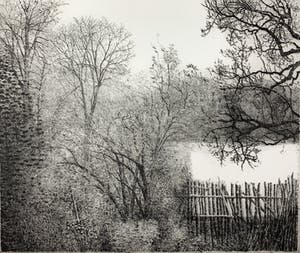 Charles Donker - ets - 'Eendekooi' - Definitieve VIIe staat - 1984 (GROOT) kopen? Bied vanaf 500!