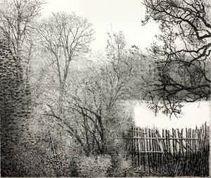 Charles Donker - ets - 'Eendekooi' - Definitieve VIIe staat - 1984 (GROOT) verkocht voor € 500!