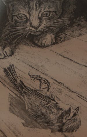 Wim Heemels - gesigneerde ets : Kat en dode mus kopen? Bied vanaf 45!