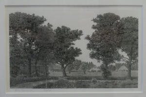 Philip Wiesman - Digitalis (Utrechtse Heuvelrug) kopen? Bied vanaf 150!