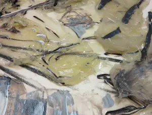 Aart Houtman - Acryl op doek, Stadsgezicht- Ingelijst (Zeer groot) kopen? Bied vanaf 300!