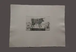 Herman Berserik - Monochrome droge naald Ets "souvenir" - unica / eigen druk exemplaar gesignrd kopen? Bied vanaf 36!