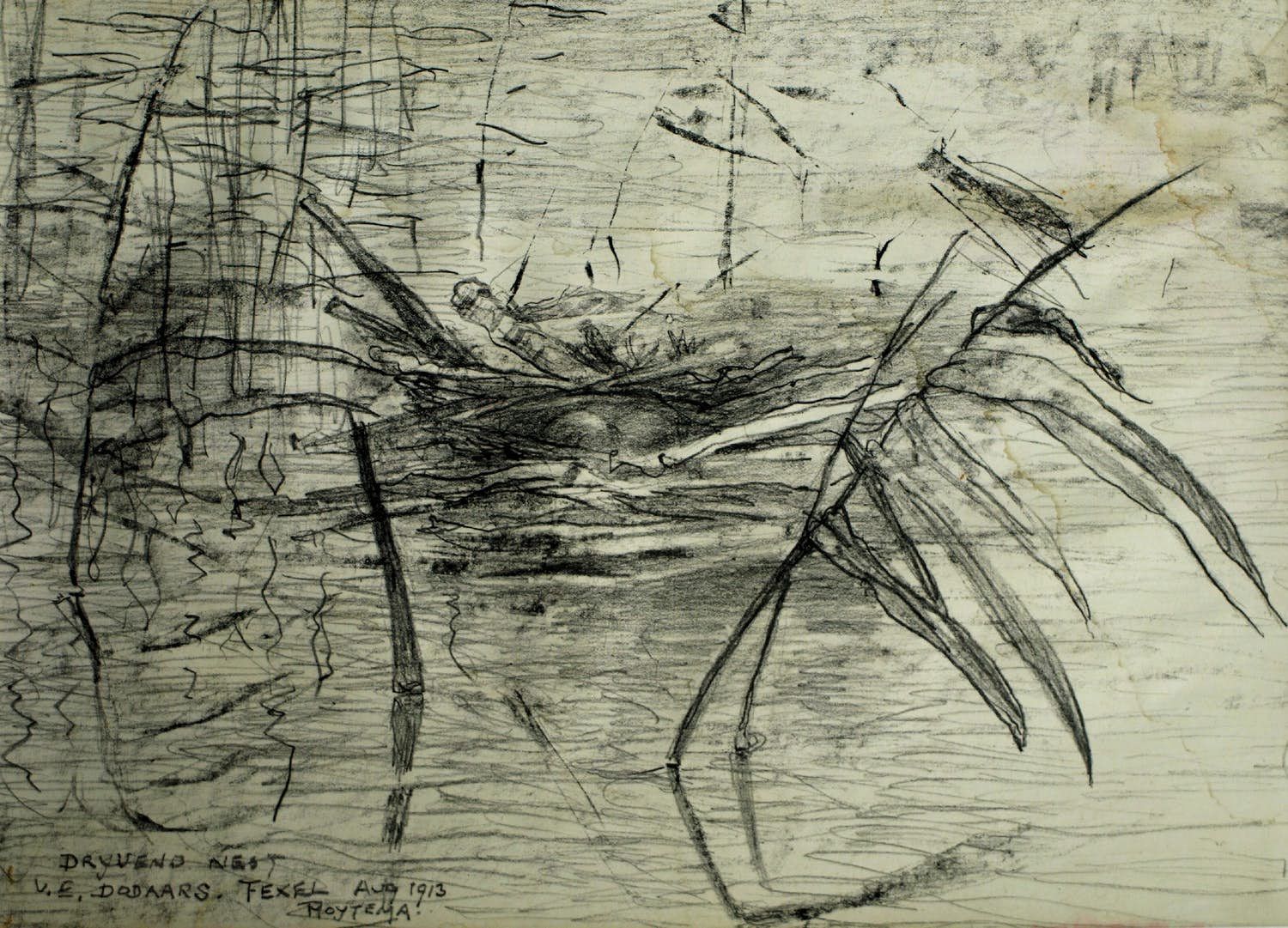 Theo van Hoytema - Litho, Drijvend nest van een dodaars, Texel - 1913 kopen? Bied vanaf 10!