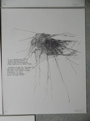 Maarten Beks - Reisdagen kopen? Bied vanaf 1!