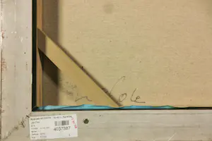 Lee Cole - Acryl op doek, Zonder titel - Ingelijst kopen? Bied vanaf 50!