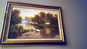 Ron Meilof - zwanenpaartje kopen? Bied vanaf 1975!