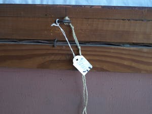 Niet of onleesbaar gesigneerd - Olieverf op doek , “Portret Paard” – gesigneerd & ingelijst kopen? Bied vanaf 10!