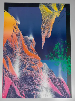 Vincent Mengin-Lecreult - Evolution kopen? Bied vanaf 35!