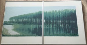 Martin T.J.M van de Laar - landschappelijk tweeluik | zeefdruk - ingelijst kopen? Bied vanaf 39!