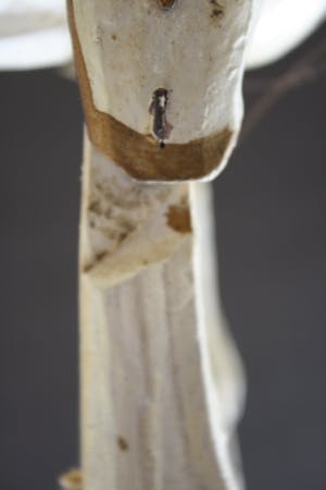 Niet of onleesbaar gesigneerd - Antiek Polychroom beschilderd marionetten paard kopen? Bied vanaf 1!