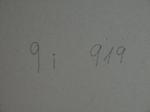 Paul Huf - Foto , Flowers : Gele Narcissen – gesigneerd & ingelijst - 1984 kopen? Bied vanaf 1!