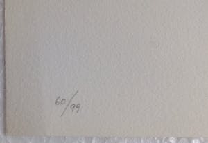 Kumi Sugai - Kleurenlitho - "S (Rose)" - Handgesigneerd en genummerd - 1990 kopen? Bied vanaf 200!