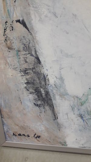 Hans Lie - Judo kopen? Bied vanaf 350!