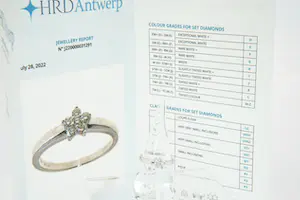 19 - elegante 18 Krt wit-goud solitair ring  0.25 crt briljant - HRD certificaat kopen? Bied vanaf 320!