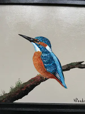AcheterHenk Poeder - IJsvogel? Enchérissez de 149!