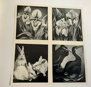 Jan Schonk - De Torentrans kopen? Bied vanaf 250!