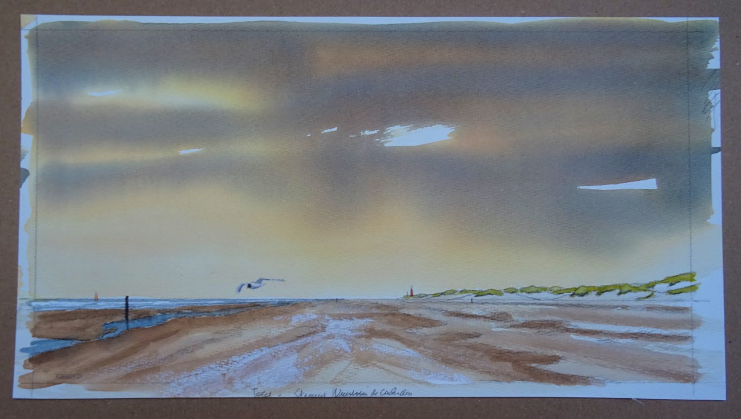 Franklin Meijer - Texel - Strand Vuurtoren de Cocksdorp kopen? Bied vanaf 49!