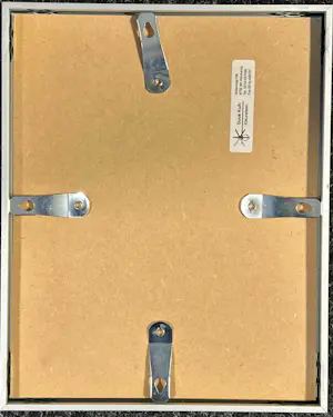 Guus Kuit - 2 Kipjes kopen? Bied vanaf 30!