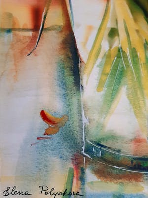 Elena Polyakova - Tulpen in vaas kopen? Bied vanaf 99!