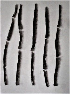 Katja Stam - Karakteristieke houtskool op papier "bamboe stokken" gesigneerd 1994 kopen? Bied vanaf 30!