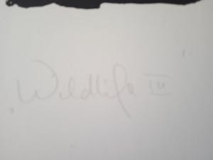 Marli Hommel - Drieluik zeefdruk Wildlife 1 & Wildlife 2 & Wildlife 3 kopen? Bied vanaf 500!