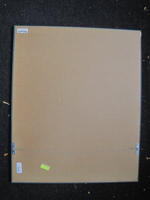 Jan van Keulen - Grote Lithografie - "Stilleven met potplant" - potlood gesignd. mooi ingelijst! kopen? Bied vanaf 34!