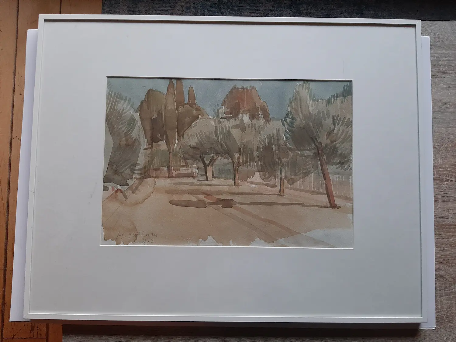 Hans Olsthoorn (1941-2009)