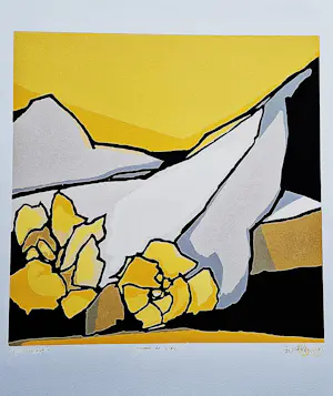 Fon Klement - Grote boardsnede "hymne au soleil" beperkte oplage (125) - nieuwstaat kopen? Bied vanaf 68!