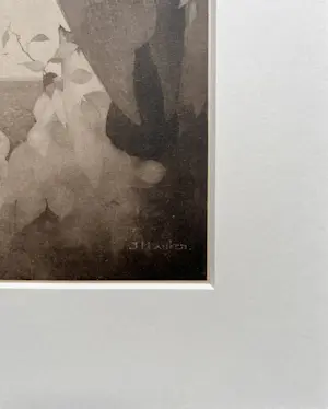 Jan Mankes - Originele Heliogravure Raaf in Berkenboom 1923 kopen? Bied vanaf 155!