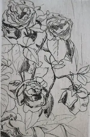 AcheterFloris Verster - Rozen? Enchérissez de 65!
