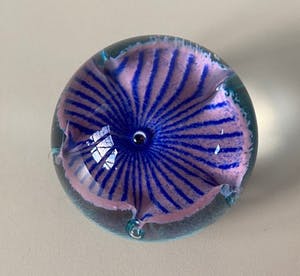 Niet of onleesbaar gesigneerd - Caithness Schotland - Glazen presse papier Petunias kopen? Bied vanaf 1!