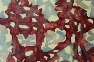 Ad van Riel - Sight (29) kopen? Bied vanaf 145!