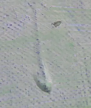 Cobi Nieuwstad - Acryl op doek, Tuinserie kopen? Bied vanaf 60!