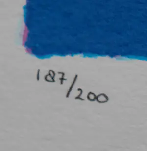 Selwyn Senatori - Zeefdruk: il secondo... kopen? Bied vanaf 125!