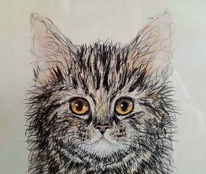 Niet of onleesbaar gesigneerd - Een kat kopen? Bied vanaf 1!