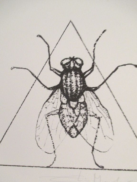 Elio Marchegiani - Elio Marchegiani - Lithografie - La mosca kopen? Bied vanaf 55!