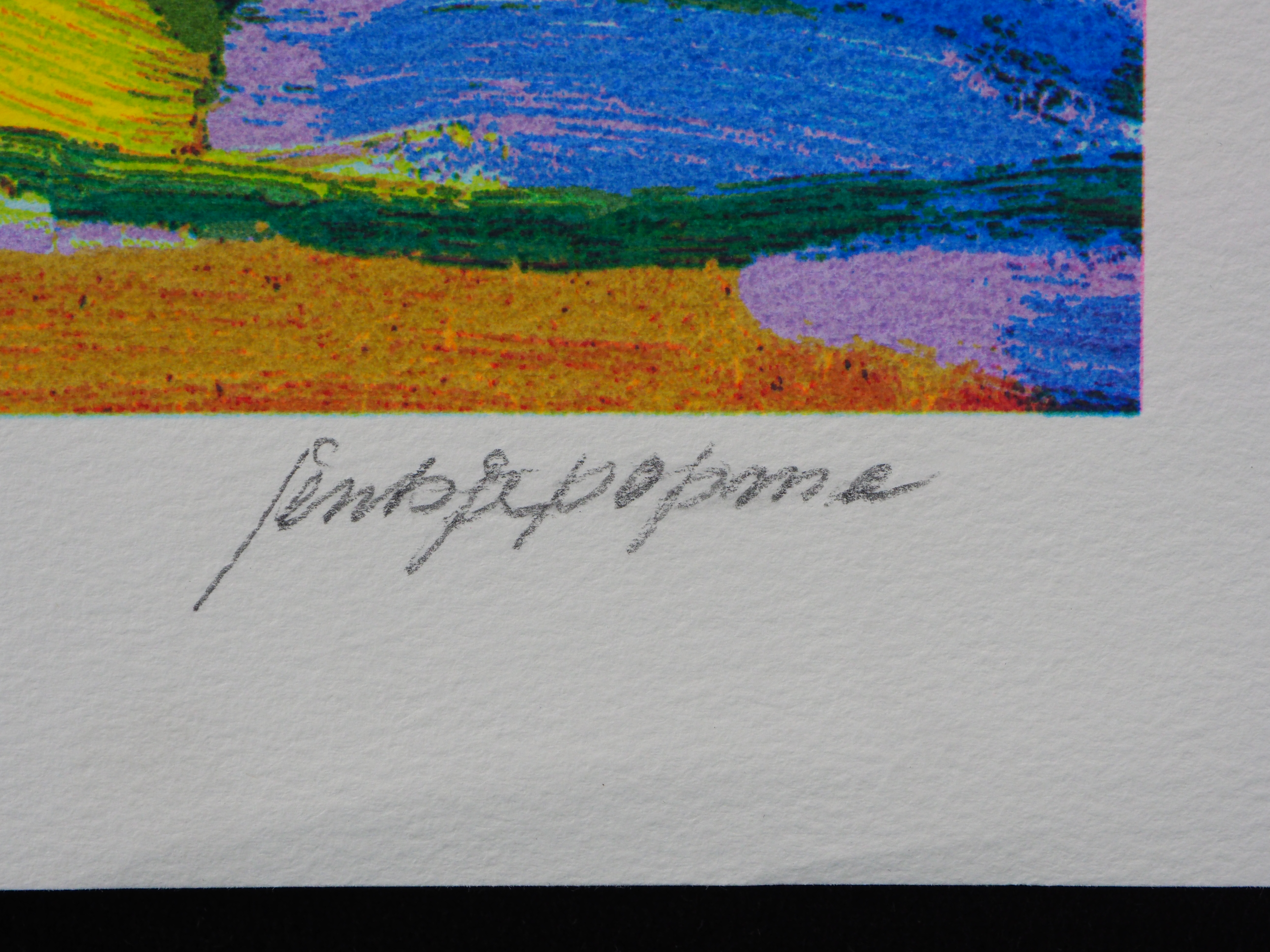 Jentsje Popma - Zomer kopen? Bied vanaf 60!